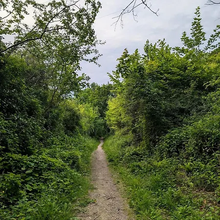 Maison Des Artistes Paris Giverny