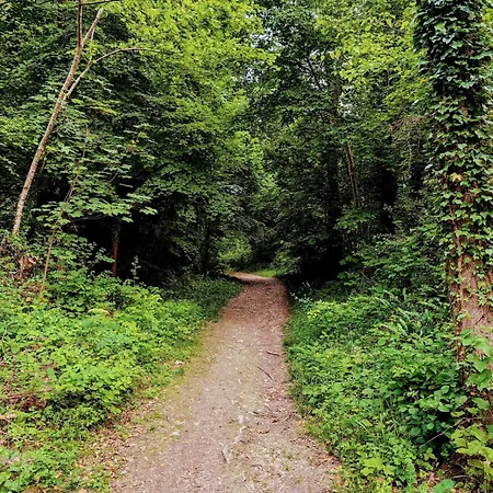 Maison Des Artistes Paris Giverny Vernon (Eure)